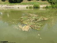 Imagine atasata: Pod Stefan Cel Mare - 2019.07.14 - 12.jpg